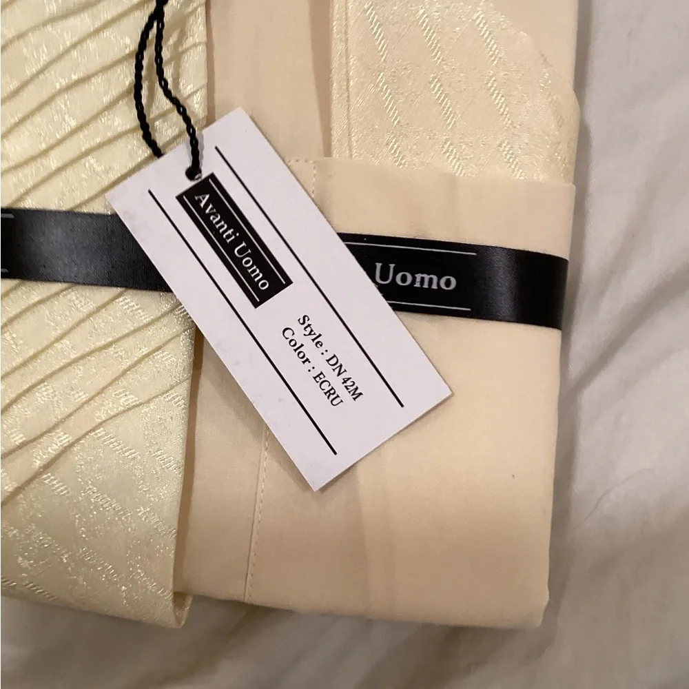 Avanti Uomo Ivory Men's Dress Shirt with Tie - Picture 4 of 11